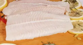 فلية هامور